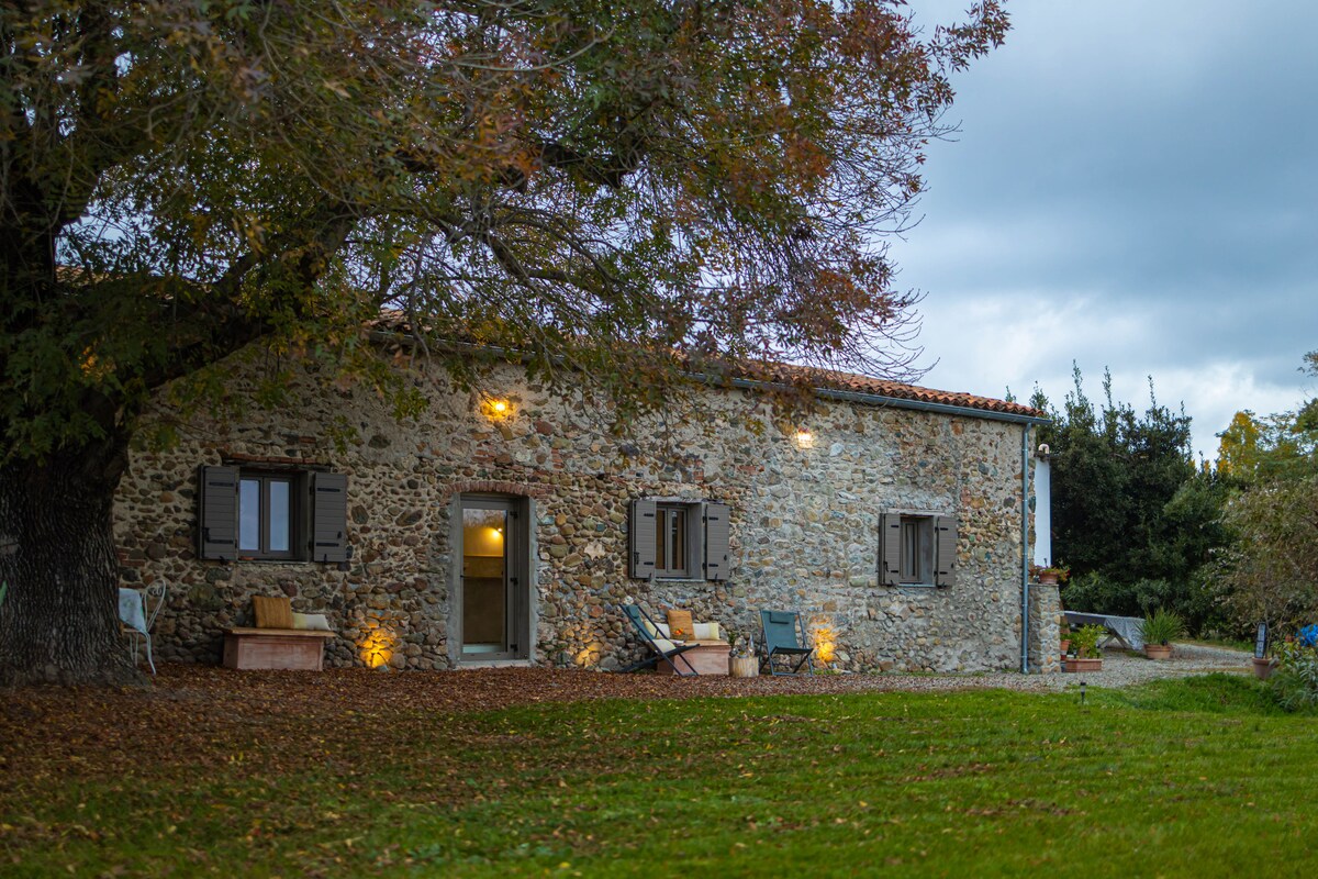 The exterior of the stone gîte showcases rustic charm, framed by a green lawn and autumn foliage. Soft lighting accentuates the entrance and windows, while outdoor seating invites relaxation under the sheltering trees.
