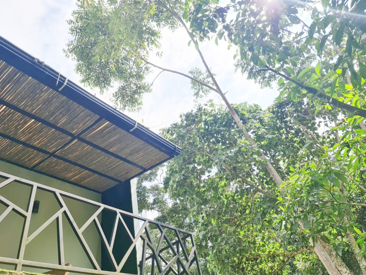 The image features a balcony with a geometric railing, situated beneath a grassy canopy of trees. Natural light filters through the leaves, creating a serene environment. The building's roof, made of textured materials, adds depth to the view of the surrounding greenery.