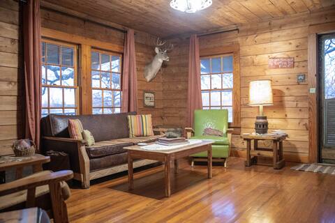Rustic cabin, private pond, stars included