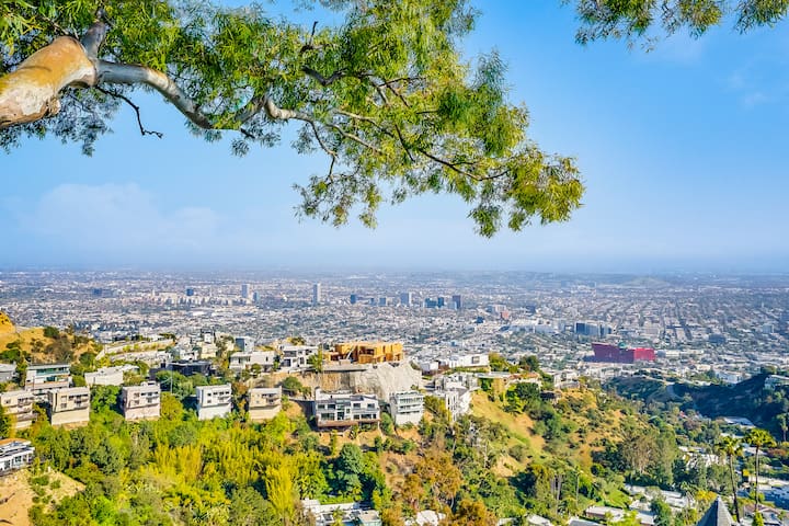 Hollywood Hills Serenity with a view