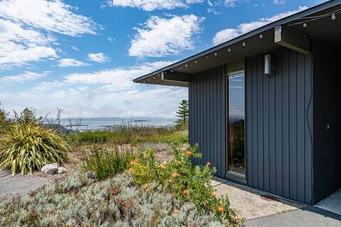 Mid-Century Oasis With Panoramic Views