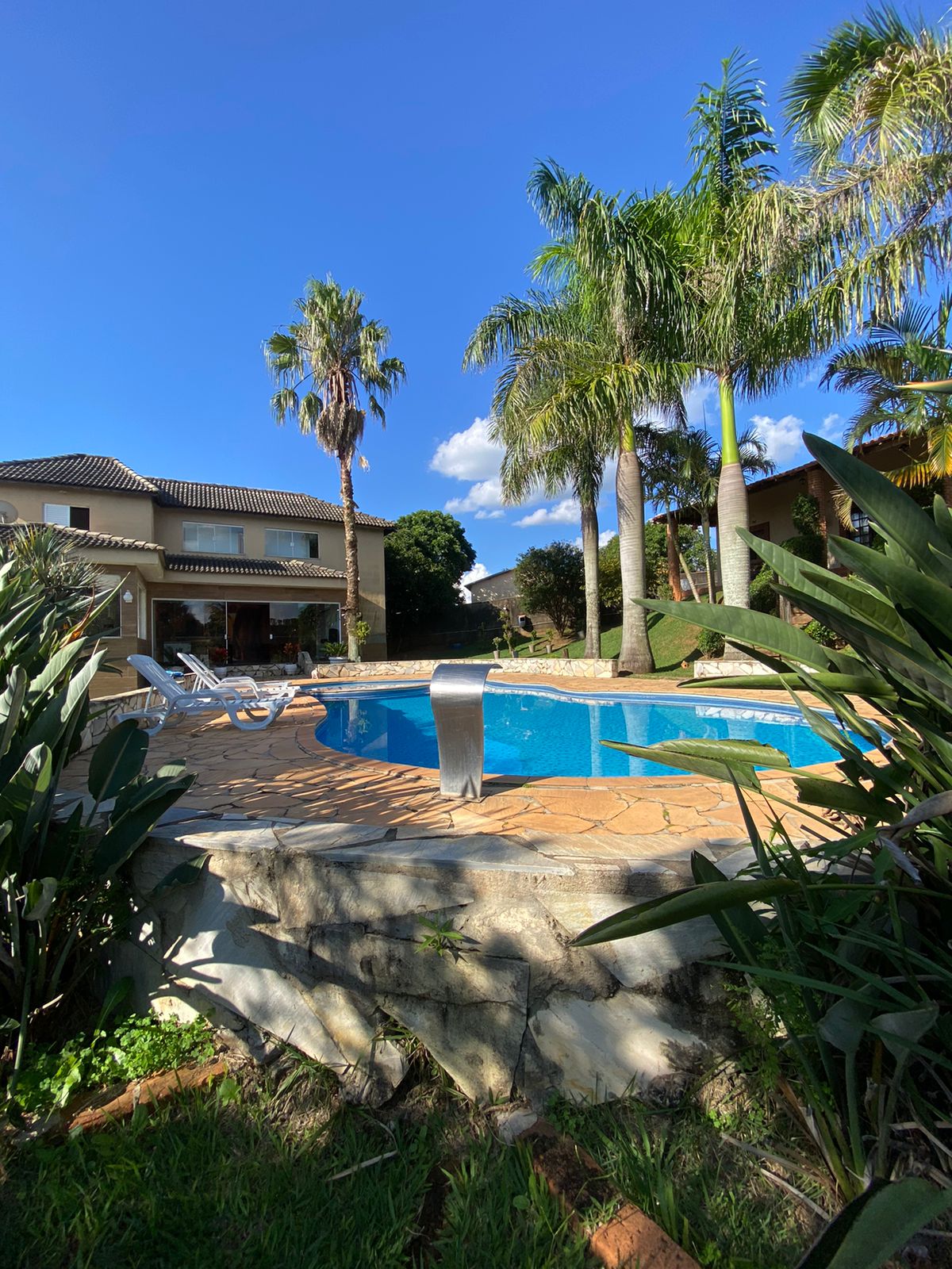 A crystal-clear pool is surrounded by palm trees and lush greenery. The pool area features a stone deck with several lounge chairs positioned for sunbathing. A two-story building is visible in the background, adding architectural interest to the serene outdoor space.