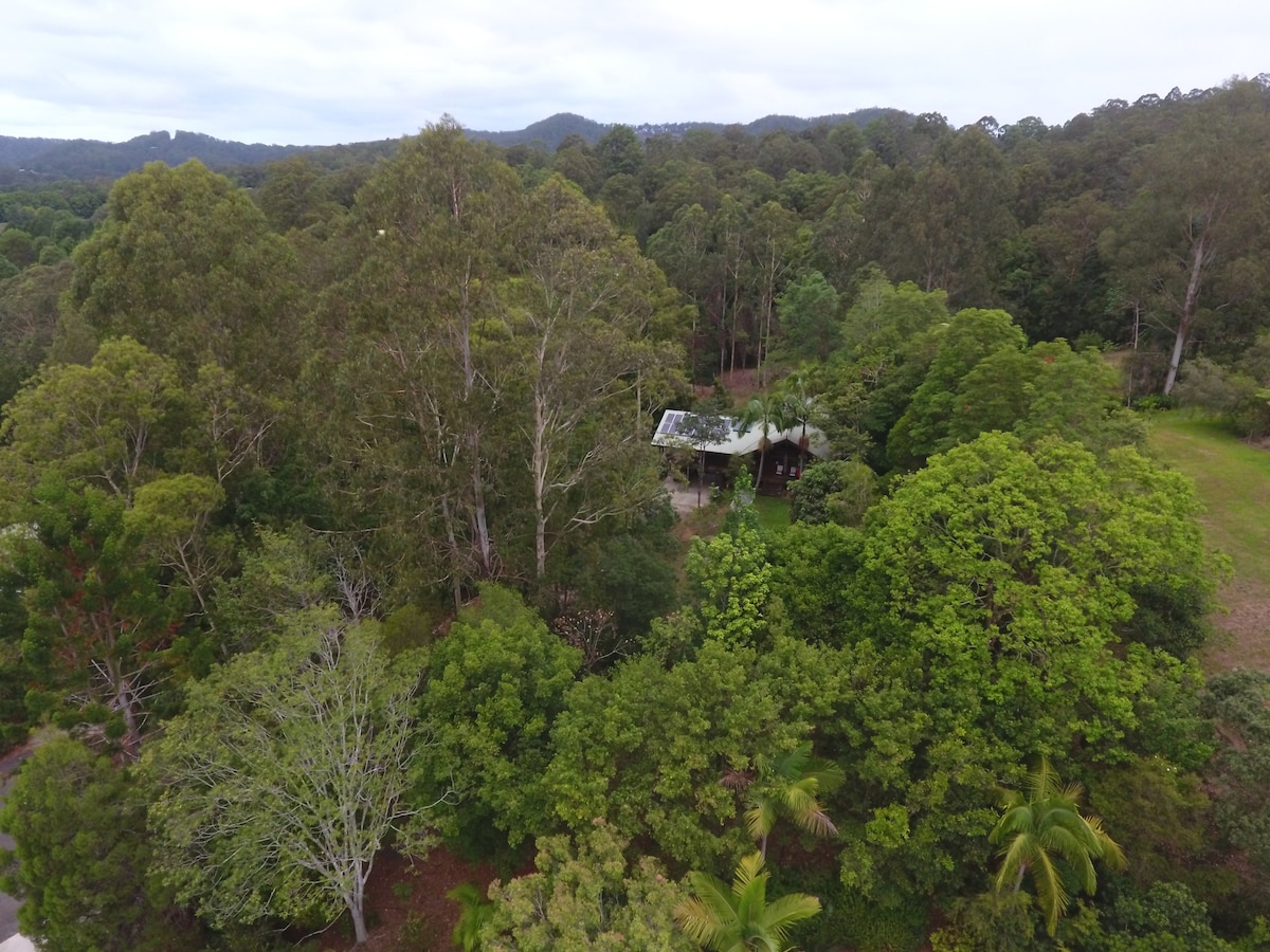 Aerial view of a lush, green bushland area showcasing a small studio cottage nestled amidst tall trees and vibrant foliage. The surrounding landscape includes a variety of trees, creating a sense of tranquility and natural beauty.
