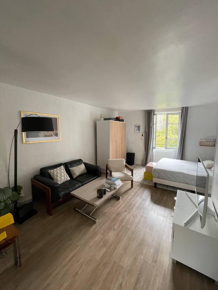 Authentic Parisian studio Chez Lucas Apartments for Rent in Paris, ÎledeFrance, France