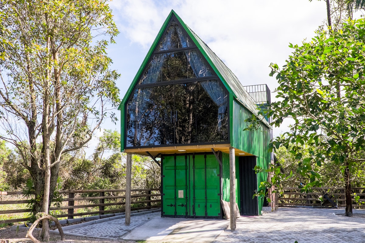 A contemporary metal chalet constructed from a shipping container is surrounded by greenery. The structure features large glass windows and a pointed roofline, allowing for abundant natural light. The outdoor area showcases a paved surface and natural landscaping.