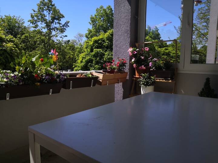 Lovely 1 bedroom in Munich Apartments for Rent in Munich, Bayern