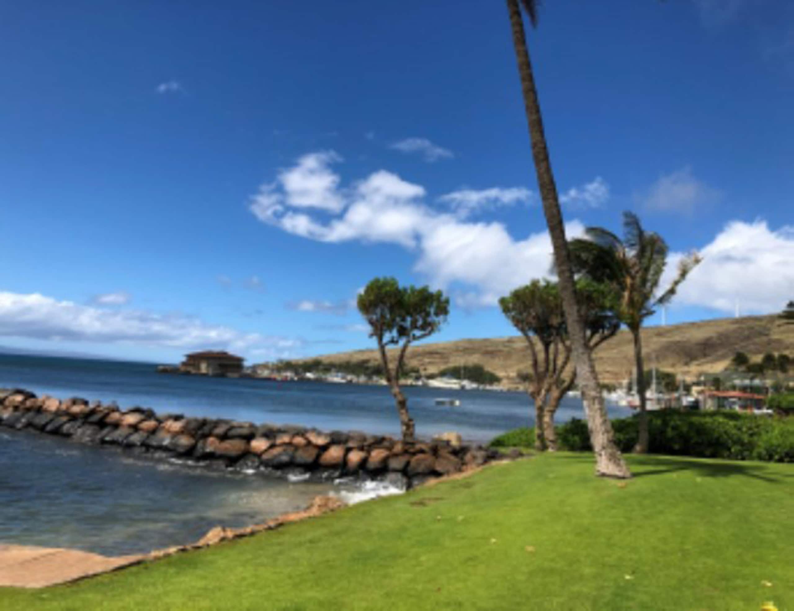 Condo in Wailuku · ★4.83 · 1 bedroom · 2 beds · 1 bath - Image 22