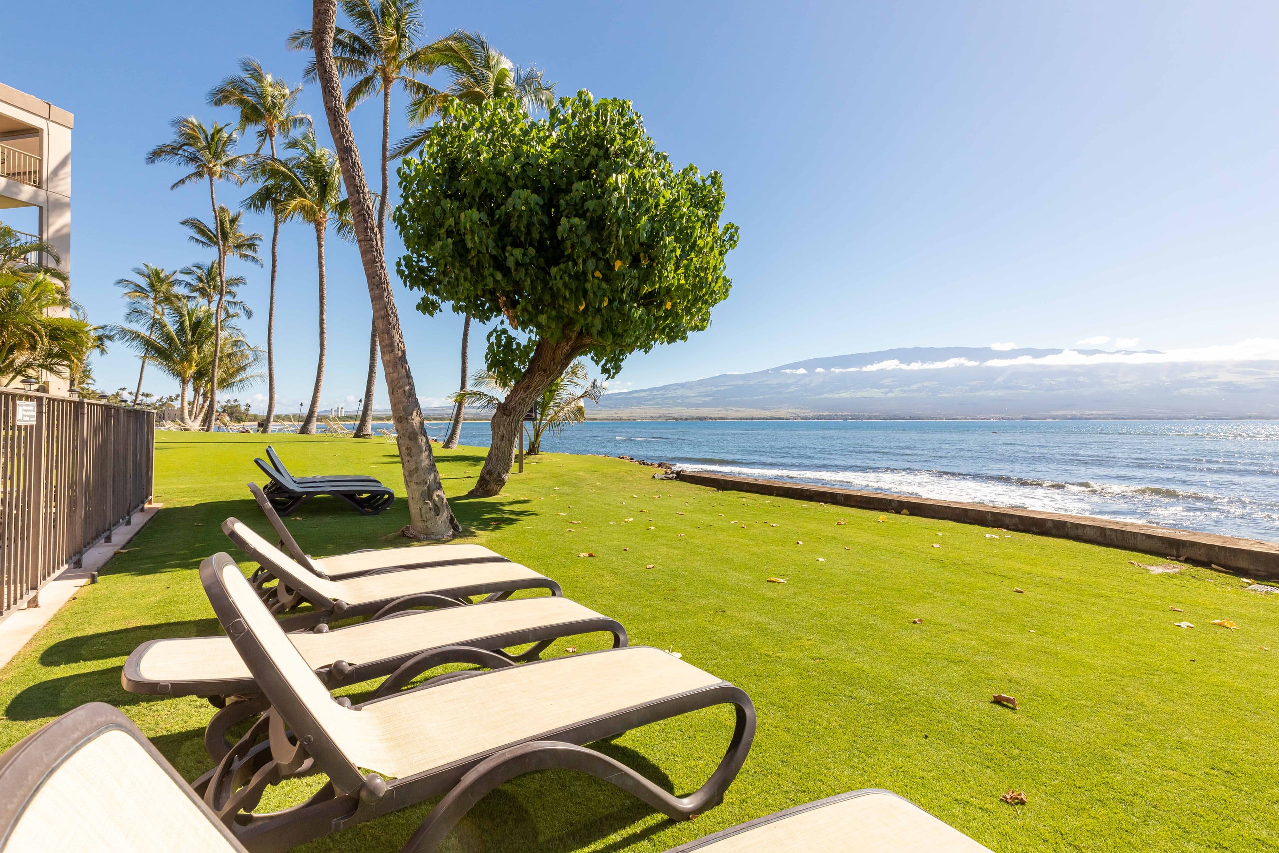 Condo in Wailuku · ★4.83 · 1 bedroom · 2 beds · 1 bath - Image 20
