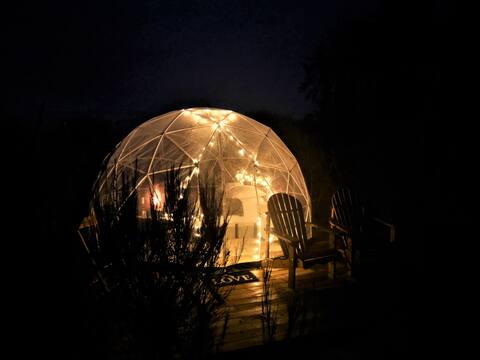 Love bubble in the heart of Nature and animals