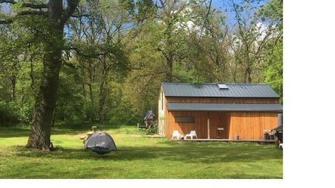Staying in the forest