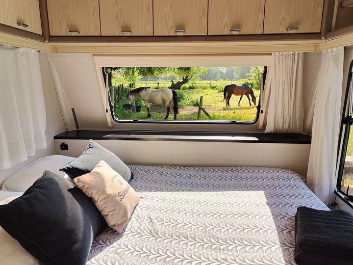 Campsite accommodation
