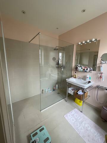 A beautiful house in Bedford Park gallery image 5