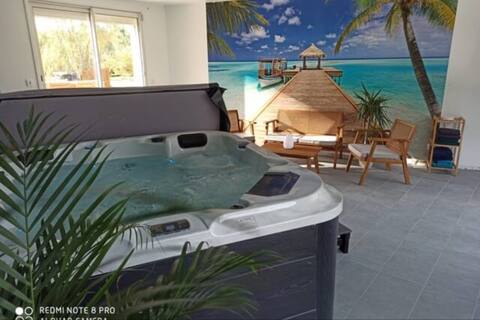Private SPA apartment near Zoo de la Flèche / Le Mans