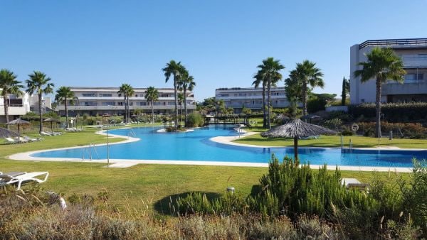 A spacious outdoor pool is surrounded by lush greenery and palm trees, providing a relaxing environment. Sun loungers are arranged along the poolside. The clear blue water reflects the sunny sky, creating a serene atmosphere. The area includes manicured lawns and walking paths.
