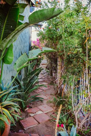 Venice Beach House walk to Abbott Kinney & Beach gallery image 2