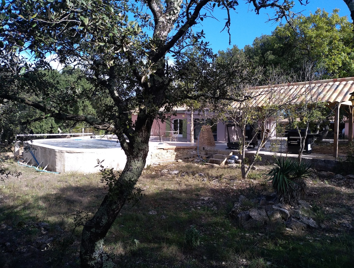 A serene outdoor setting is presented, featuring a spacious villa with a covered terrace and a well-maintained pool area surrounded by natural greenery. The villa's facade is partially obscured by trees, providing a sense of privacy and tranquility.