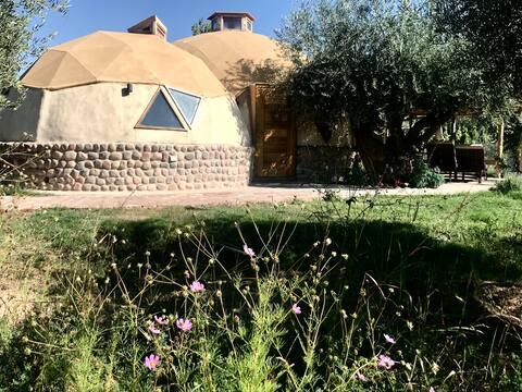 Geodesic Double Dome on organic farm.