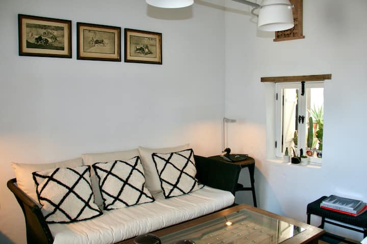 Beautiful Patio House Casa Flamenco - Vejer de la Frontera