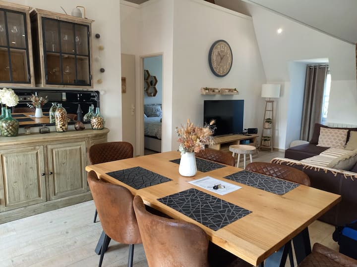 Beautiful apartment, historic center of Dijon Apartments for Rent in