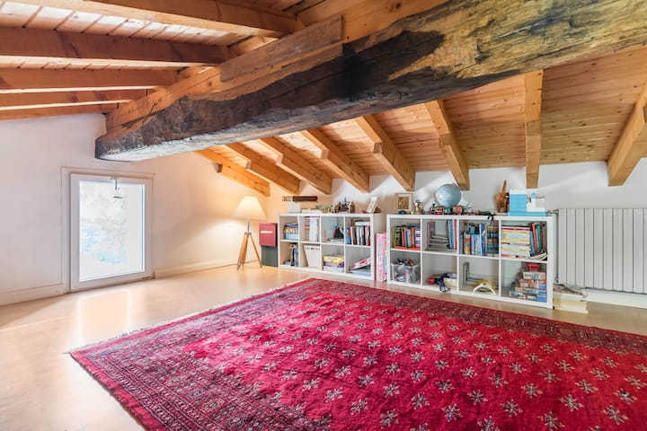 Attic - Maelezo ya sehemu ya wazi yenye mtazamo: Maktaba & Carpet