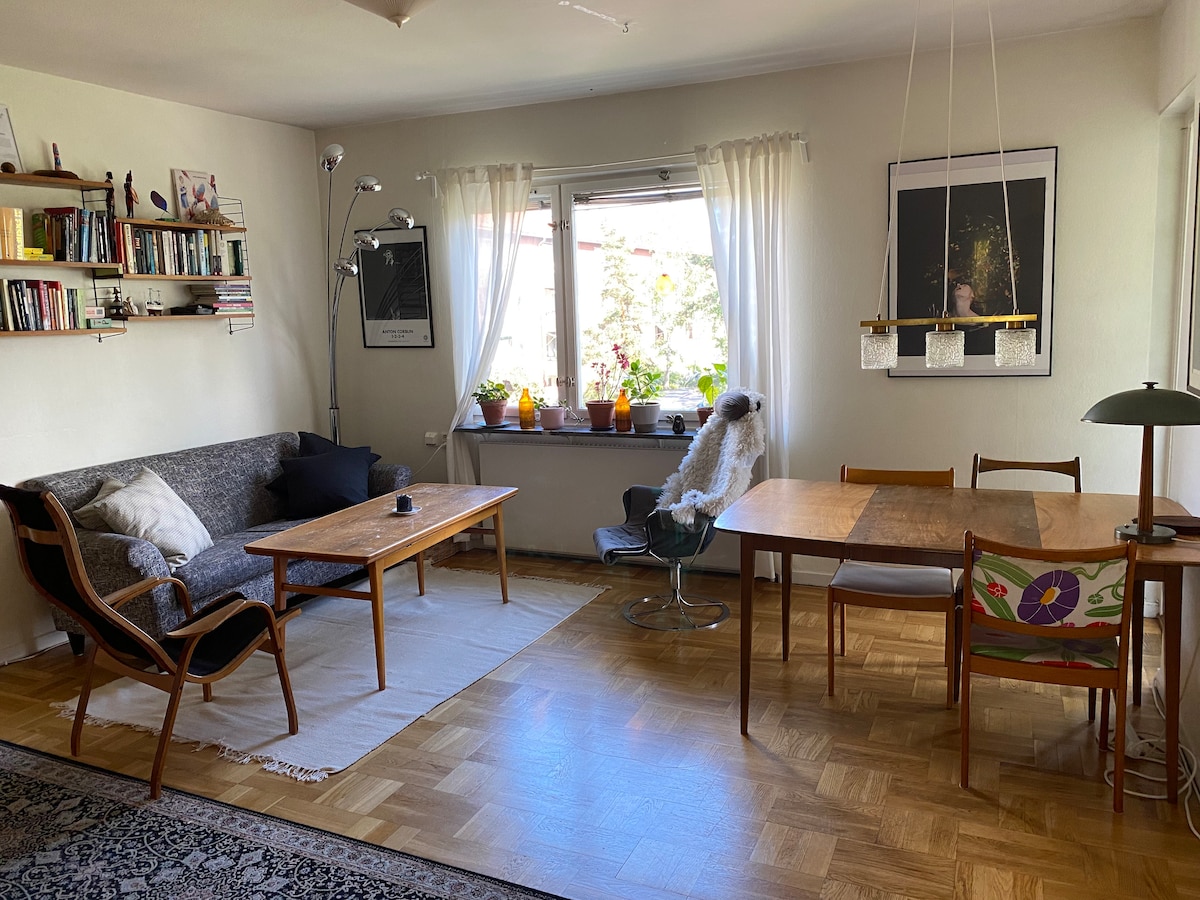 A spacious living area features a mix of seating arrangements, including a cozy sofa and two wooden chairs. A large window allows natural light to illuminate the room, adorned with potted plants on the sill. A wooden table and a stylish lamp complement the inviting space.