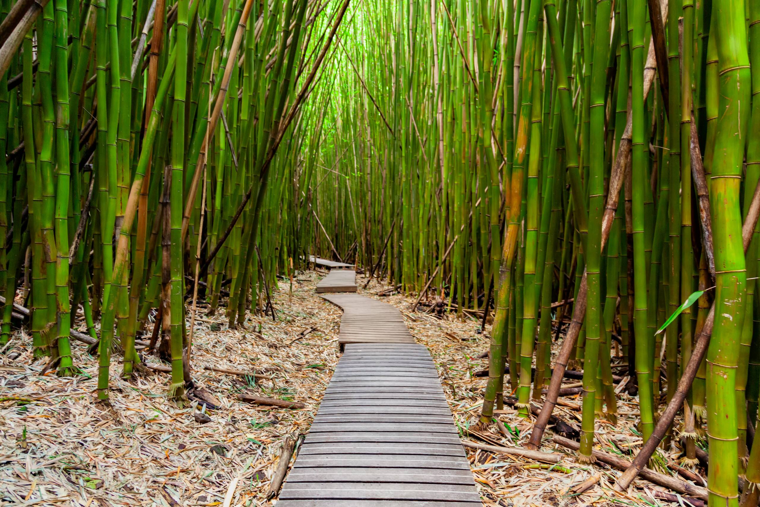 Ho'okipa Hideaway - Walk to Restaurant/Store - Photo 24