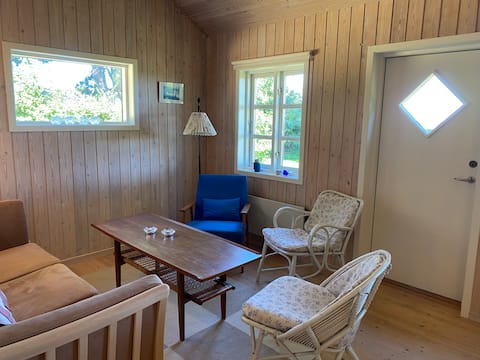 Popular Airbnb listing: Cozy, view and direct access to the beach in Vordingborg