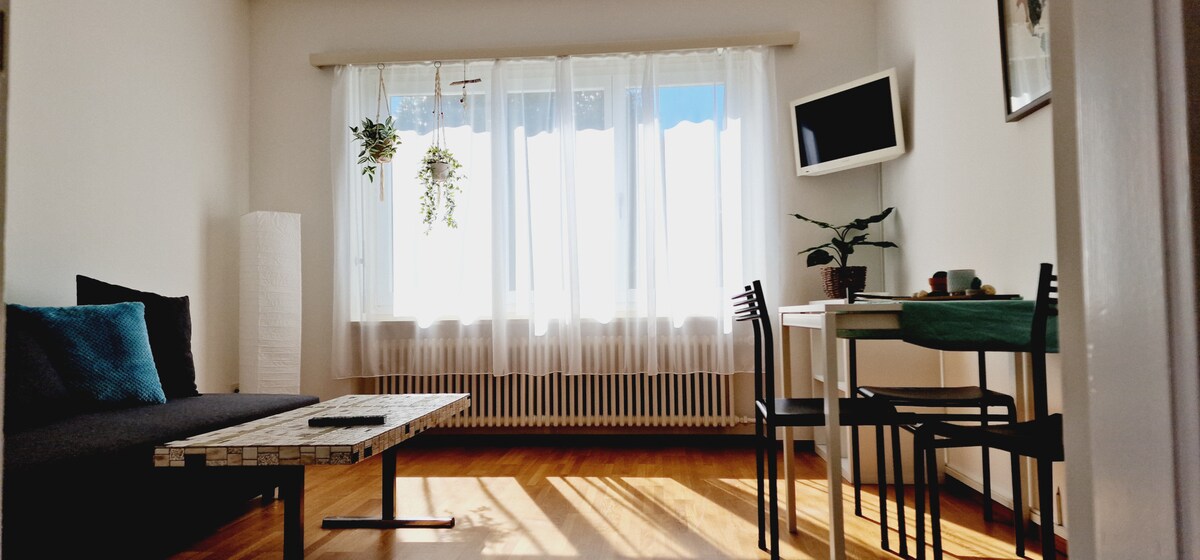 Successful Airbnb property: Albanova-Charming apartment surrounded by greenery in Minusio