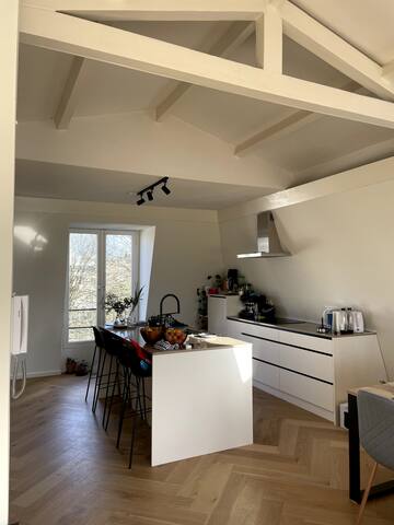 Vondelpark modern luxury appart. gallery image 4