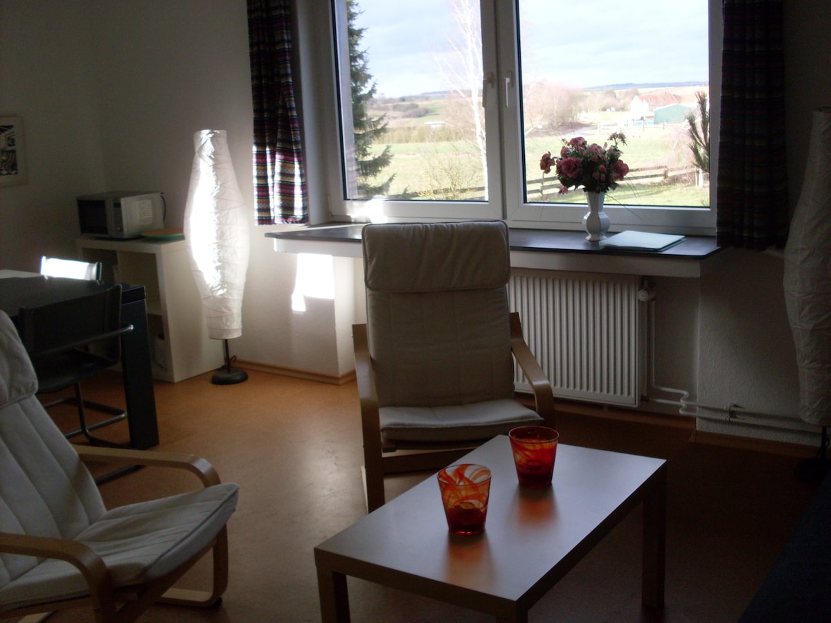 Successful Airbnb property: Cozy apartment with castle view and fireplace in Waldeck