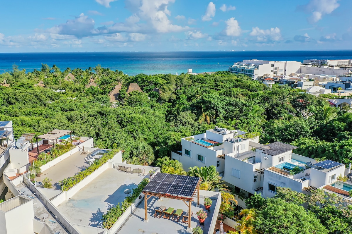 A panoramic view showcases the vibrant blue ocean under a clear sky, bordered by lush green vegetation. Rooftops of nearby buildings are visible, some featuring pools and solar panels, while the beach lies just beyond the tree line.