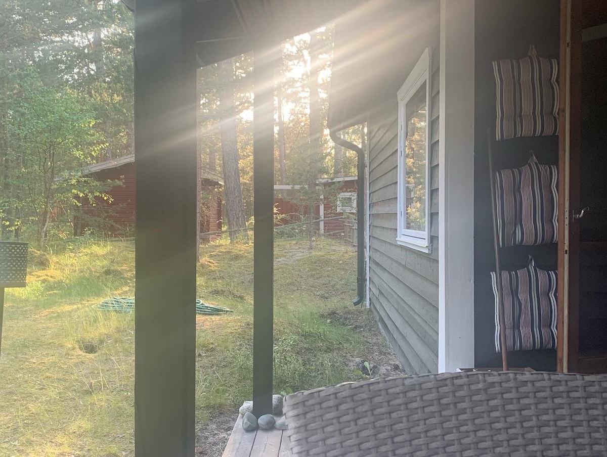 Soft sunlight filters through the trees, casting a warm glow on the porch area. The scene features a view of the surrounding greenery and a glimpse of nearby rustic buildings in the background, suggesting a serene natural setting.