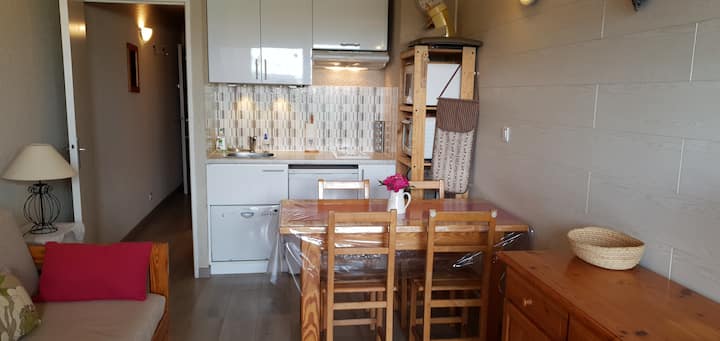 Praloup 1600 Studio 25m² - 04400 - Pra-Loup