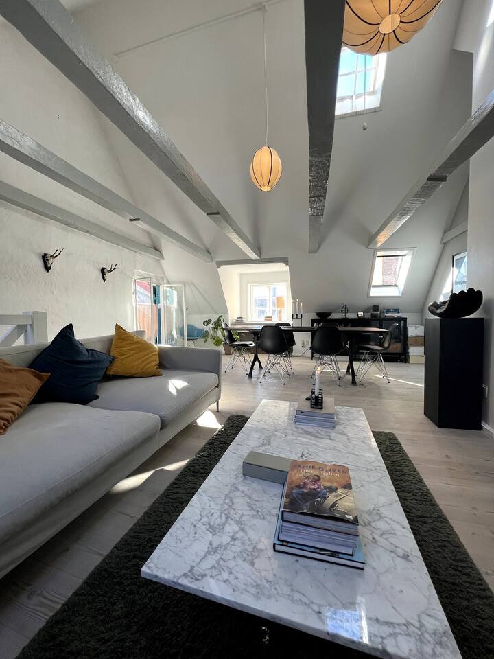 spacious and cozy apartment in the city Flats for Rent in Copenhagen