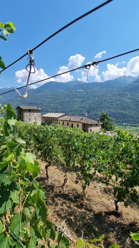 b&b Cà Moréi Casa Intera