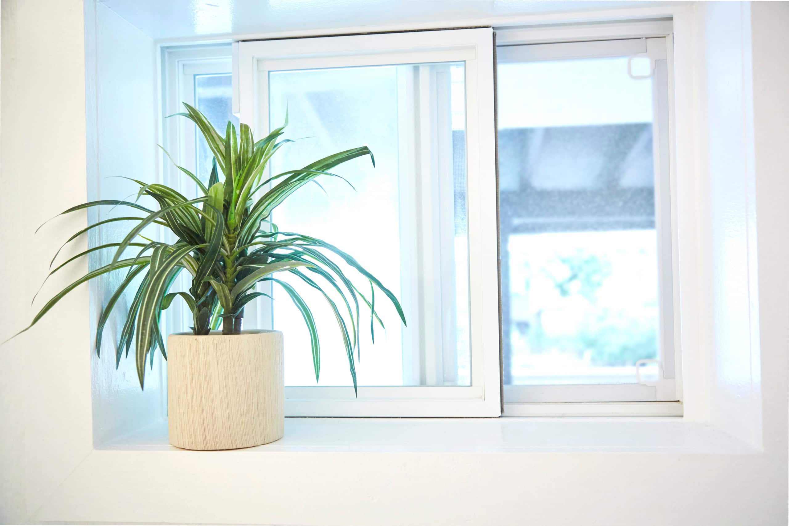 Living Local Style with Aloha - Image 33