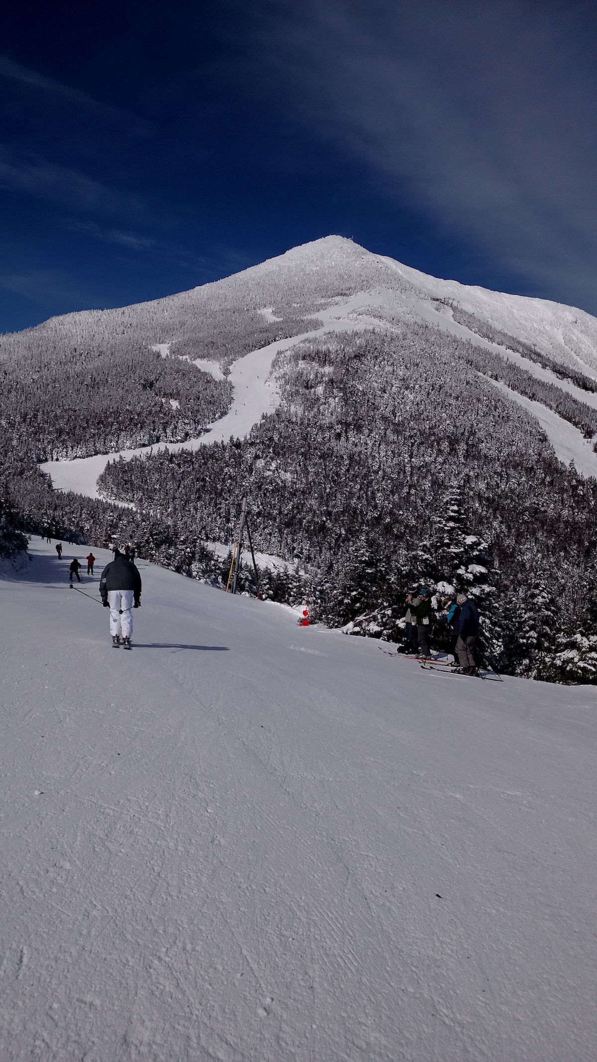 A snow-covered mountain dominates the background, with skiers traversing a wide, groomed slope. Dense evergreen trees create a natural border along the trail, and a clear blue sky enhances the bright winter scene.