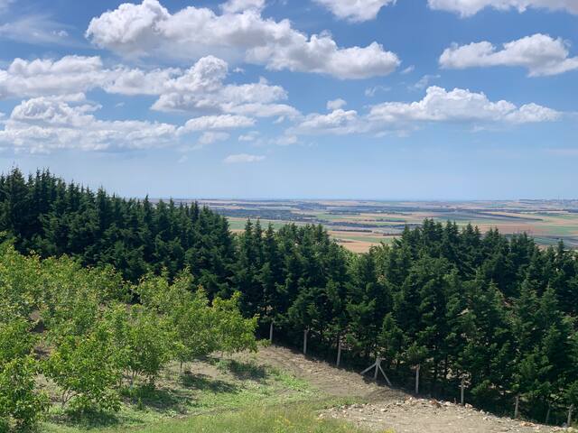 Silivri Fenerköyde Doğayla İç İçe Huzur Veren Ev gallery image 5