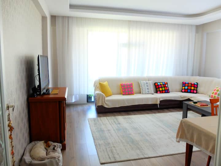 Konya Holiday Rentals & Homes Konya, Türkiye Airbnb