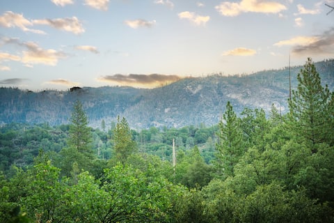 Bass Lake & Yosemite Cabin With a View- Sleeps 12