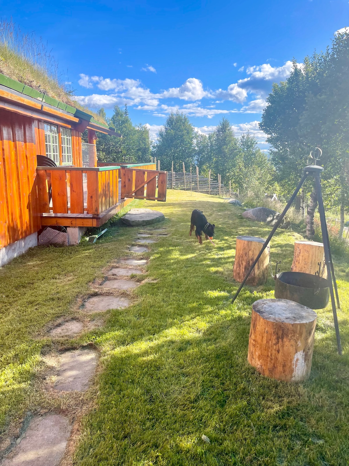 A well-maintained pathway lined with stepping stones leads to a charming wooden cabin, surrounded by lush green grass. Natural seating is provided by logs arranged neatly nearby. A dog explores the outdoor space under a clear blue sky with scattered clouds.