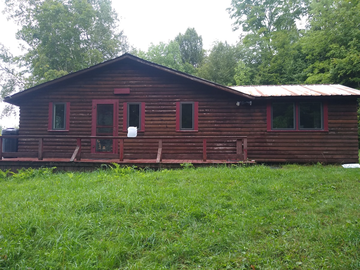 The cabin exterior is characterized by rustic wooden siding and a sloped metal roof. Large windows allow natural light into the interior. A spacious front porch provides access to the surrounding greenery. Trees create a natural backdrop, enhancing the secluded atmosphere.