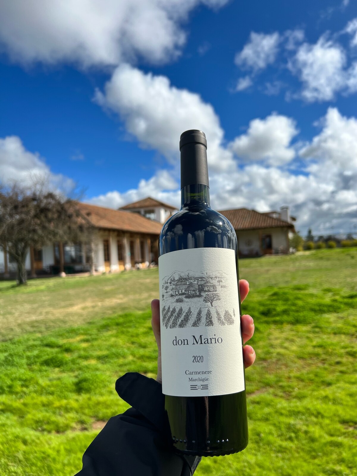 A bottle of Don Mario 2000 Carménère wine is held in front of a blurred background featuring a house with a terracotta roof and expansive green lawn. Fluffy clouds drift across a bright blue sky, suggesting an inviting outdoor scene.