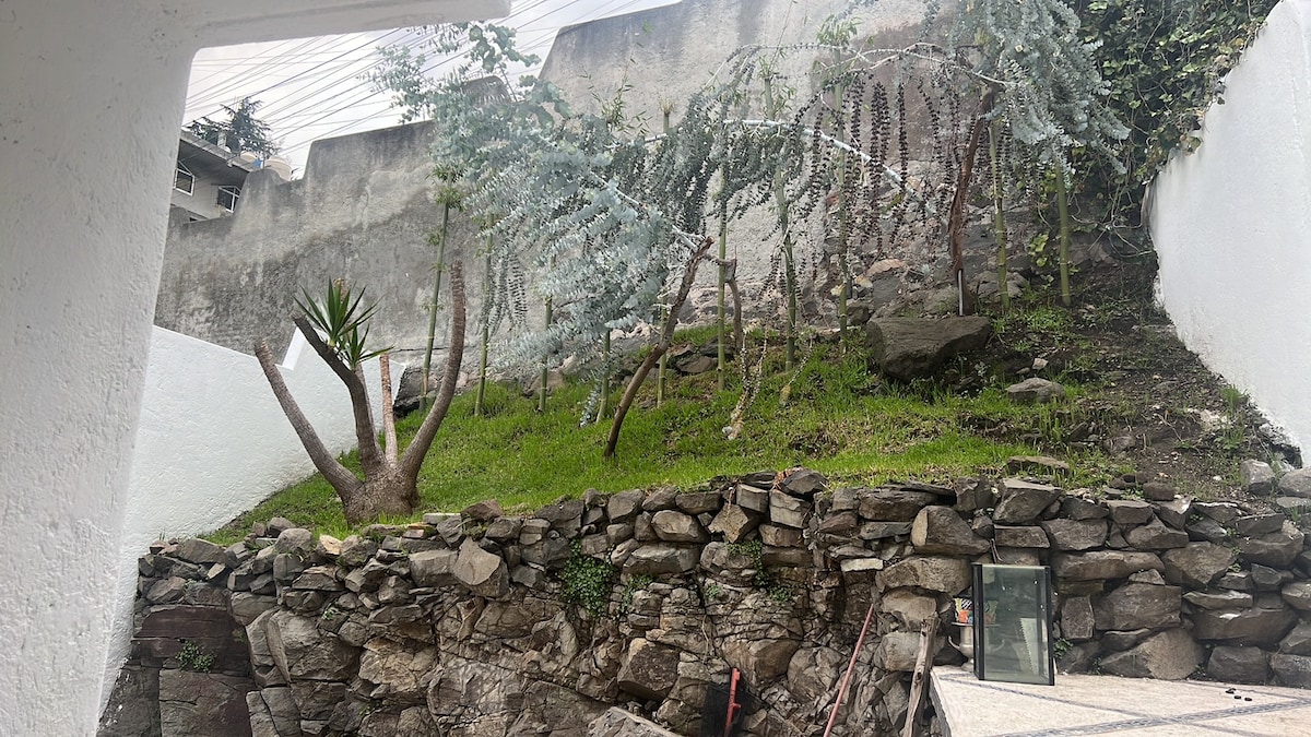 A private garden area is featured, with a grassy slope supported by a stone wall. Several trees are visible, along with a variety of plants, creating a natural setting. The background shows a textured wall, contributing to the secluded atmosphere.