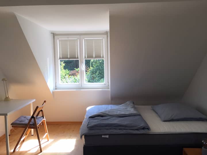 Traumhafte Ausblicke In Denkmalgeschütztervilla - Heidelberg