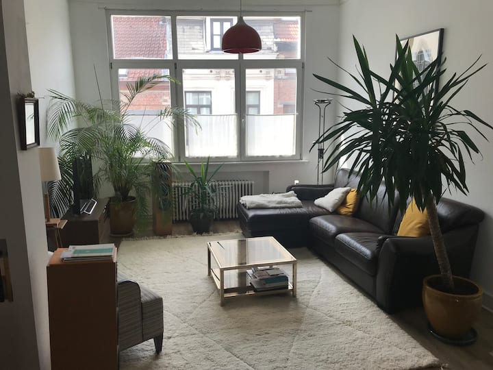 Les activités incontournables à IXELLES Bruxelles