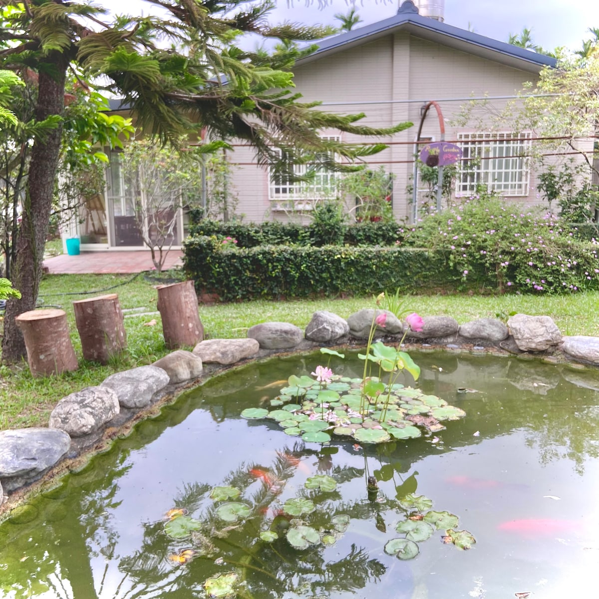 A serene garden scene features a tranquil fish pond surrounded by smooth stones. Bright green lily pads float on the water's surface, complemented by a few pink lotus flowers. The yard is framed by lush foliage, with a cozy home visible in the background.