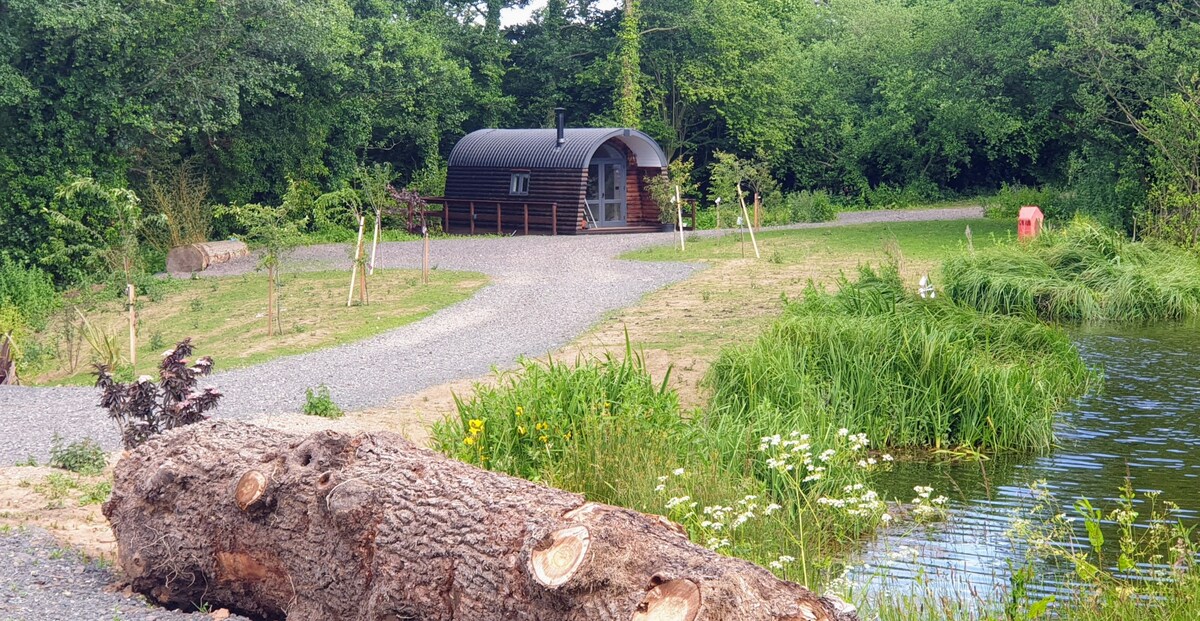 The Kingfisher Cabin is nestled among greenery along a pebbled path leading to the lake. The rounded structure features large windows and a welcoming entrance. Surrounding foliage includes grass and small trees, while a log lies in the foreground, creating a natural boundary.