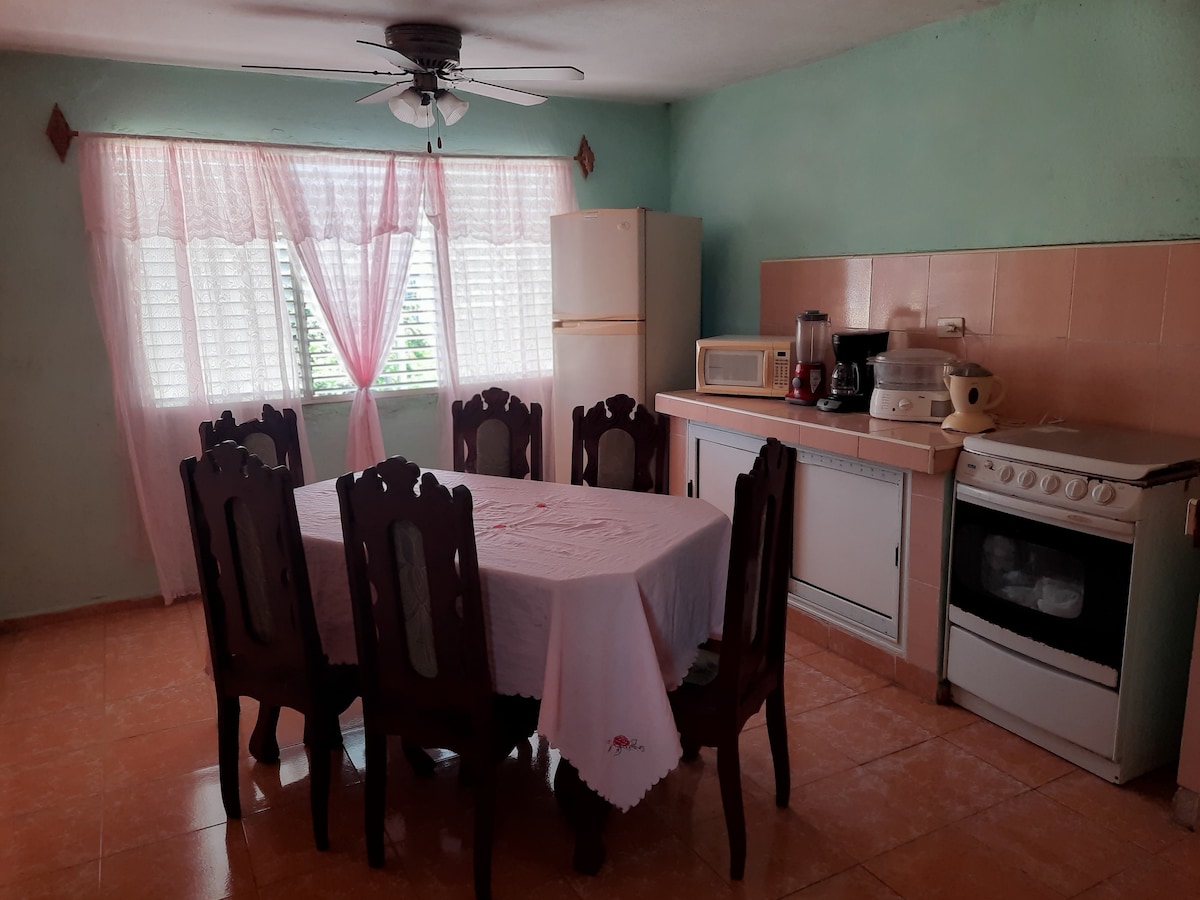 A spacious kitchen features a large dining table surrounded by six wooden chairs. Light-colored cabinetry is complemented by a pastel green wall. A window with white curtains allows natural light to enter, creating a bright and inviting atmosphere. Kitchen appliances are neatly arranged on the countertop.