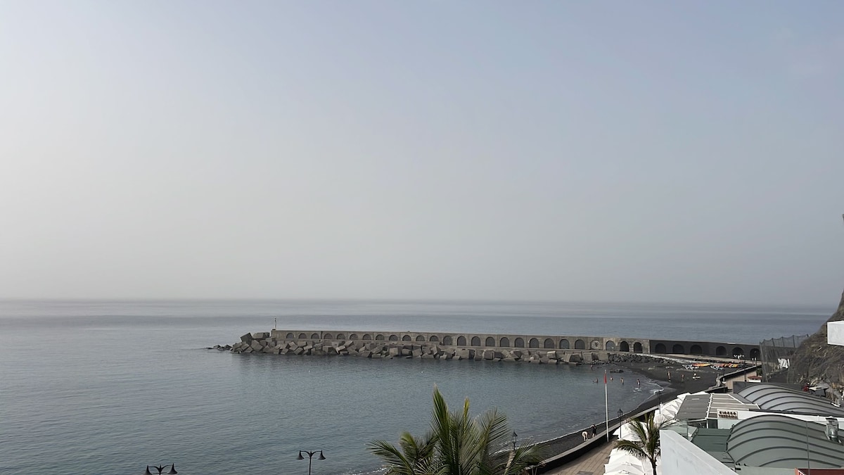 A serene view of the coastline is presented, featuring a calm sea meeting the horizon. A stone pier extends into the water, while a pathway lined with palm trees runs alongside. The sky is softly diffused, creating a tranquil atmosphere.
